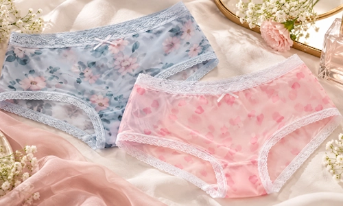 Transparent Hipster Panties