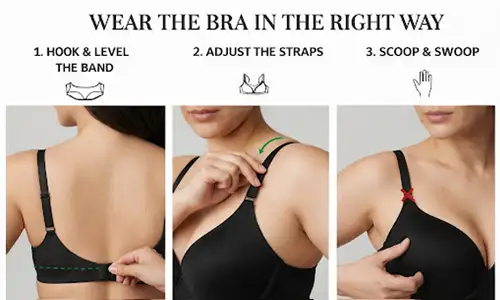 Wear the Bra in the Right Way