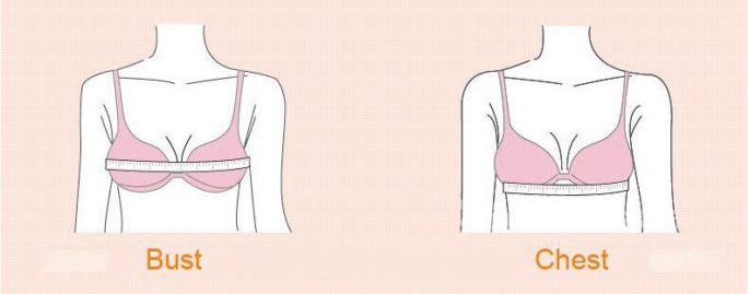 How To Choose The Right Bra For Your Size & Shape - TeenBook