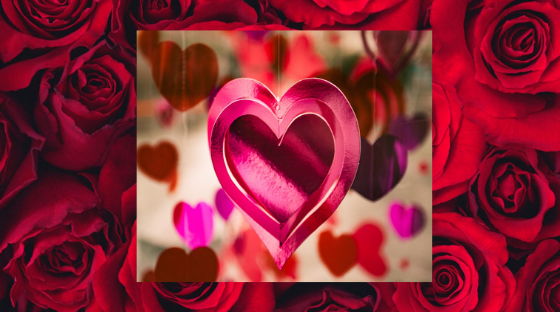 Rose Day – Valentine Week!