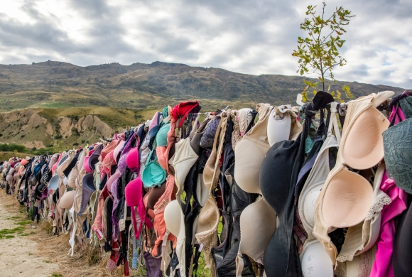 Would You Like to Hang Your Bra on This Fence?