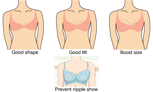 What are the Benefits of Padded Bras : Padded Bra