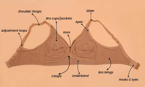 Anatomy of a nursing bra. Parts of a nursing bra