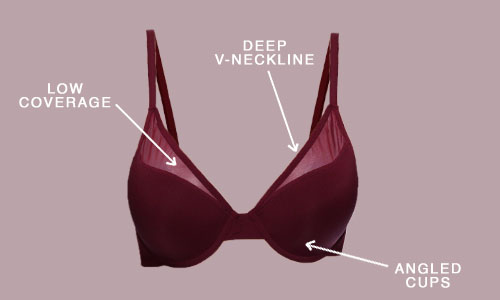  Types of bras: Plunge Bra