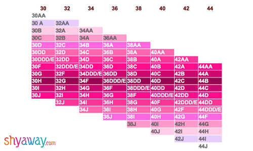 What Is Sister Size Bra Understanding Sister Size For Perfect Fit Kembeo 