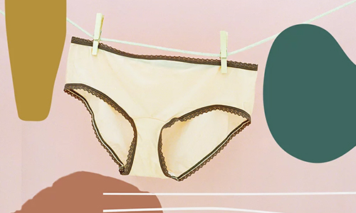 8 tricks to keep your Lingerie Monsoon Free! – Cazaro