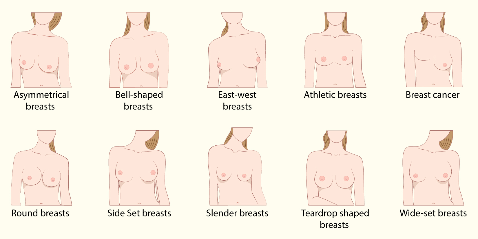 Pictures of womens breast