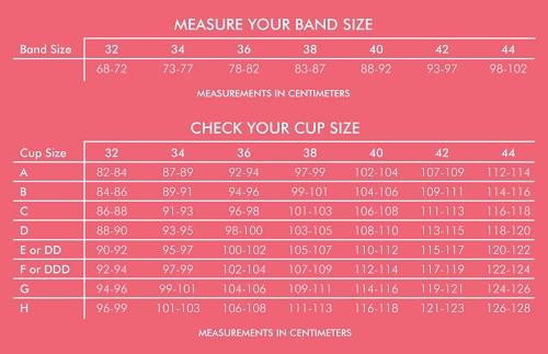 Bra Size Calculator & Sports Bra Sizing