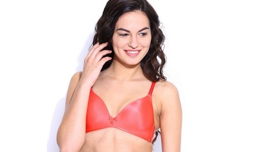 What is a Demi Cup Bra?