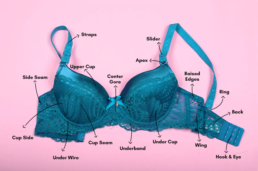 Bra anatomy: different parts of bra