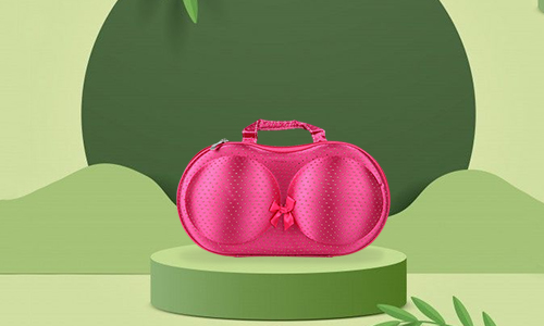 bra bag