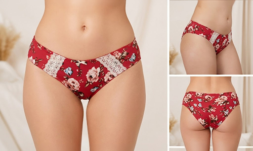 What Are Bikini Panties?