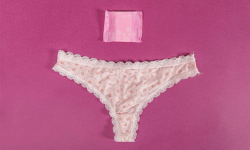 What is a Period Panty?
