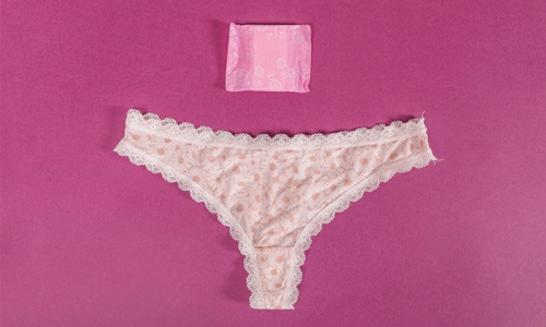 Anatomy of Period Panties: How Period Panty Works?