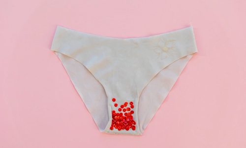 Anatomy of Period Panties: How Period Panty Works?