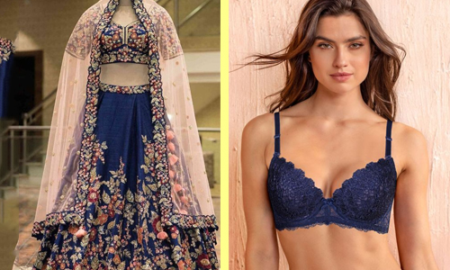 Wondering What Bra Will Go Best With Lehenga Choli