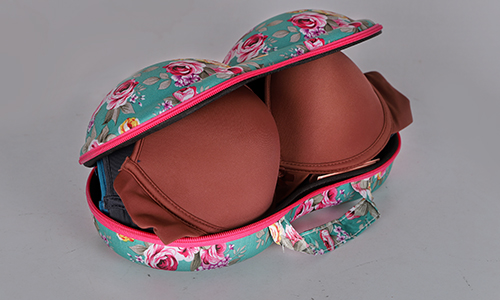  How to pack your bras for travel?