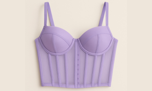 Corset Longline Bras