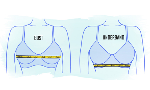 Longline Bra: History, Benefits, Types, and Everyt