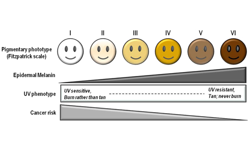 Finding Bras to Match Skin Tone – Brown is Brown is Brown, No