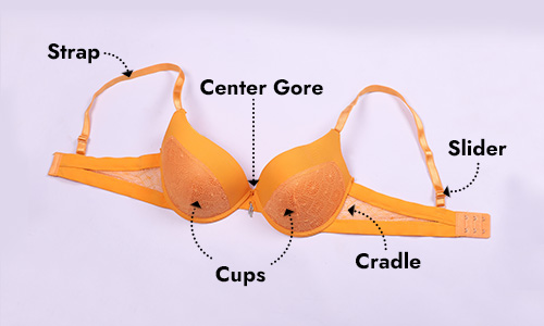 Cradle and Wire of a Bra: How it Works, Purpose, a