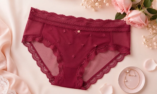 Bonus Style: The Brief Lace Panty