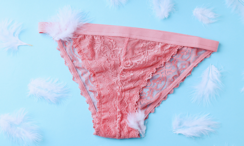Plus Size Light Blue & Peach Sheer Lace Cheeky Underwear – Unique