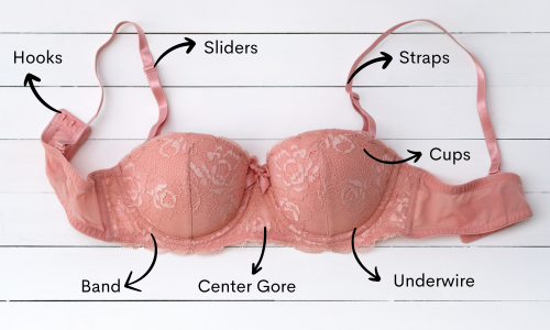 Parts of a Bra: Definition of the Centre Gore. Why is it important?