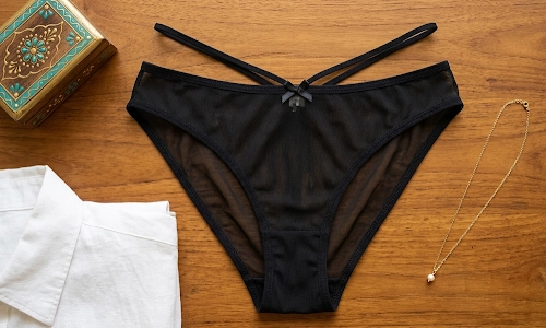Transparent / Sheer Bikini