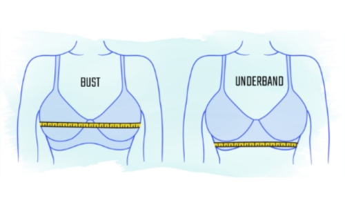 Bra Measurement