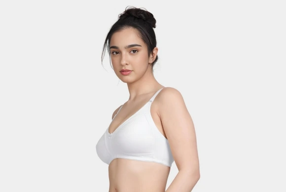 What is the Role of Secret Shapers in a Bra?