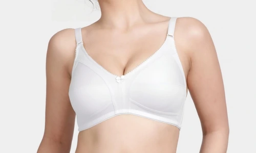 secret shaper bra