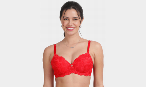 Darted Bra