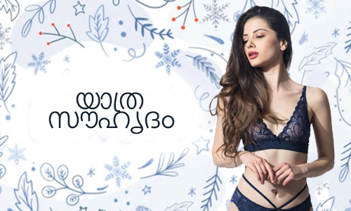 ട്രാവൽ-ഫ്രണ്ട്ലി