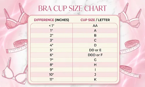 Bra Cup Size Chart