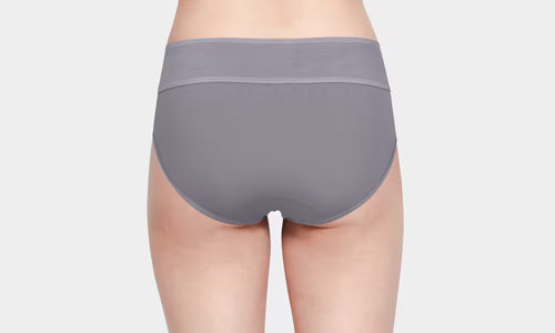 Features-of-a-tummy-tucker-panty