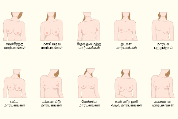 பல்வேறு வகையான மார்பக வடிவங்கள் மற்றும் பிரா பரிந்துரைகள்