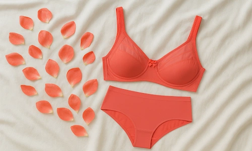 Non-Padded Bra Lingerie Set