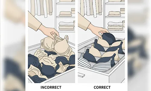 How Should You Store Your Bras Correctly