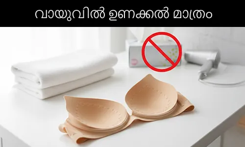 സ്റ്റിക്ക്-ഓൺ ബ്രാ എങ്ങനെ ഡ്രൈ കെയർ ചെയ്യണം