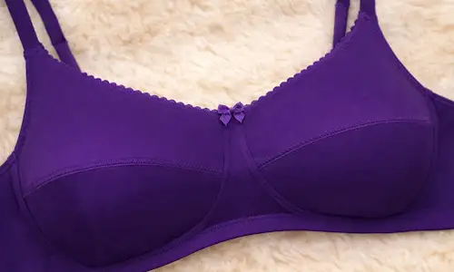 Non Padded Seamed Cup Everyday Bra