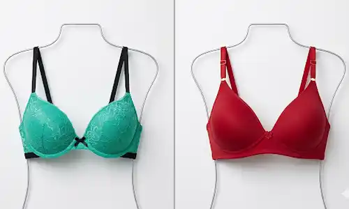 Lace Plunge or Regular Plunge