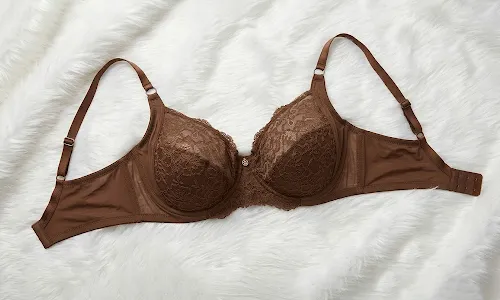 Mustang Brown Seamed Lightly Padded Wired Lace Bra